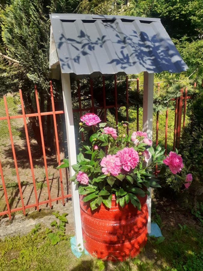 Apartman Mahala One SJJ Esterno foto